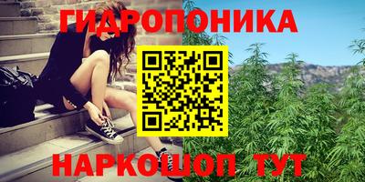 спайс Аша