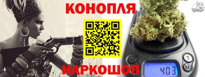 прущие грибы Ачхой-Мартан