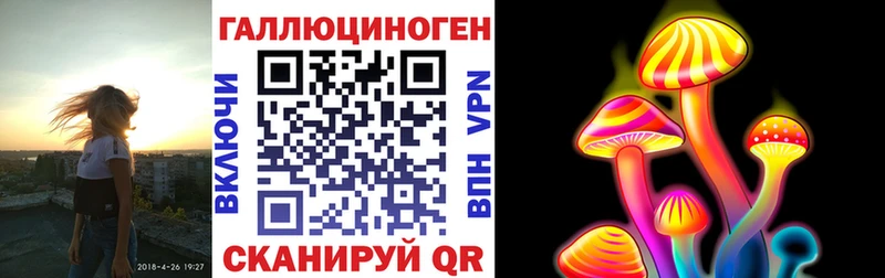 Псилоцибиновые грибы Cubensis  Братск 