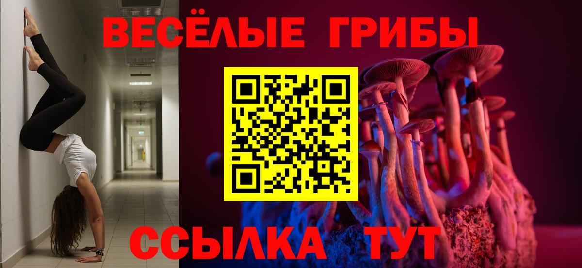 Братск  Галлюциногенные грибы Cubensis  Вход с VPN 