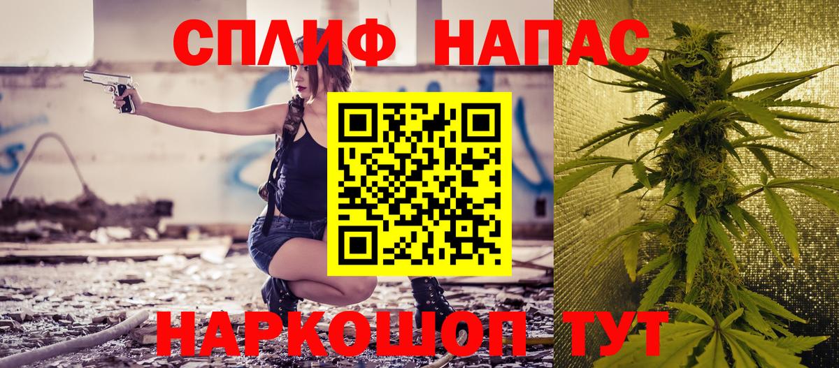 Конопля тримм  МАРИХУАНА MAZAR  Братск  Вход с VPN  Бошки Шишки планчик  Конопля конопля 